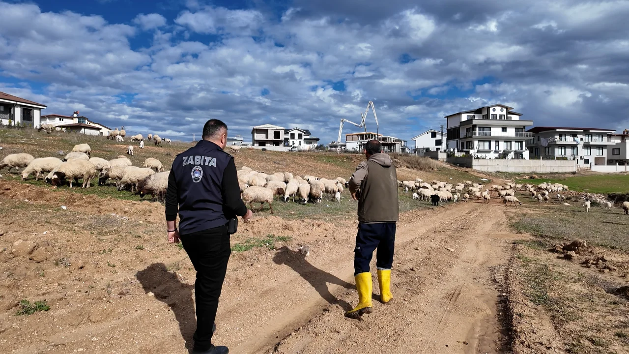 “Marka Kent Sarıçam” İçin Estetik ve Düzen Atağı